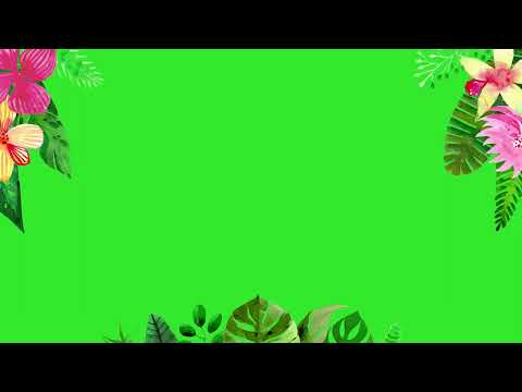 marco floral chroma key