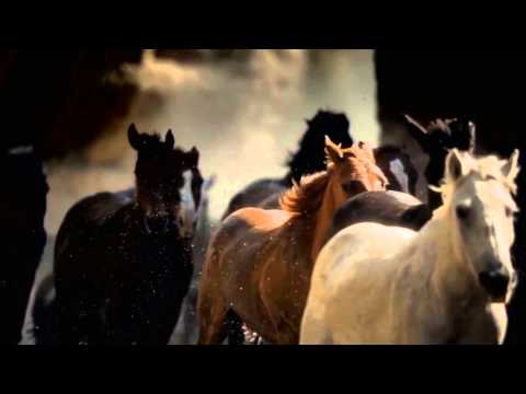 "KONJ" - Natječaj Bilogorskih Renđera