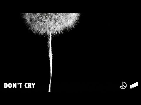 DON'T CRY (Explicit - Audio) feat. Elijah L & Babane — Juny B