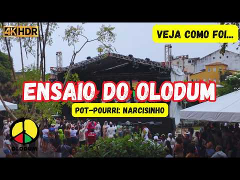 POT-POURRI NARCISINHO: ENSAIO DO OLODUM ( AGOSTO 2025 )