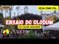 POT POURRI NARCISINHO ENSAIO DO OLODUM AGOSTO 2025