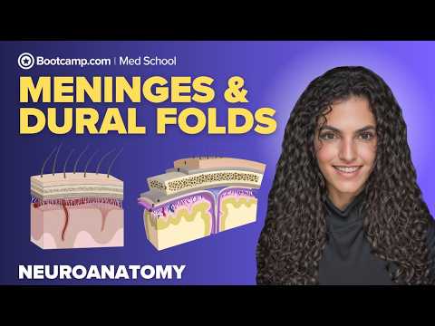 Meninges & Dural Folds Simplified | Layers, Spaces & Functions
