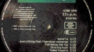 Shriekback  fish below the ice   OIL AND GOLD   lp vinyl 1985
