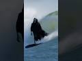 DIE 4 SURF