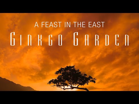 Ginkgo Garden • A Feast In the East (Official Video)