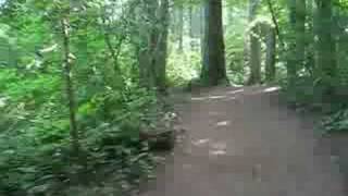 BEAR LAKE SUMMER 2008