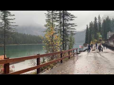 Walking in Emerald Lake. Yoho National Park
