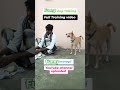 Dog Comedy Chinnagounder Goundamani Senthil Comedy Shorts Arunathinesh Tamilcomedy