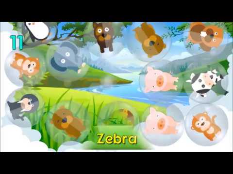 Zoo Bubble Pop Video