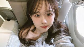 做上海旅游攻略？一篇就搞定