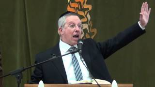 הרב מרדכי נויגרשל (HD) שיעורים בפרשת השבוע, פ׳ אמור