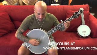 Gold Tone Banjo Cello CEB-5