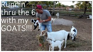 Running thru the 6 with my GOATS! (Drake - Know Yourself Parody)