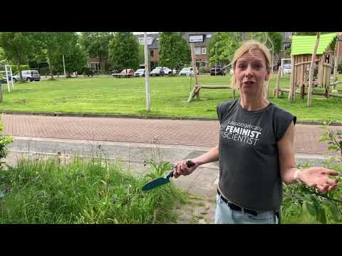 Franciska de Vries 2023 World Biodiversity Day Spotlight