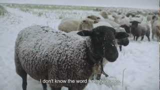 Winter Nomads - Hiver Nomade (Trailer English)