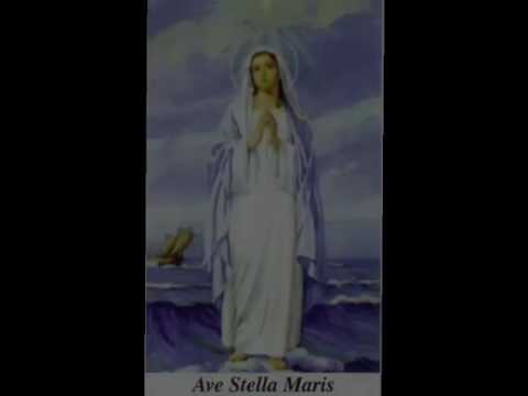 Zdravo Zvizdo Mora - s.Miljenka Biošić, Ante Paro, Bernardo Bukša