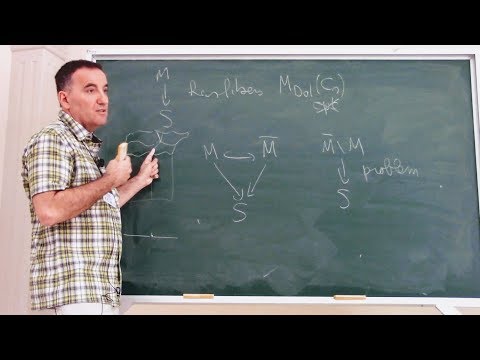 Supports for Hitchin fibrations Mark de Cataldo