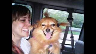 Pussycat Dolls - Twitter Pictures2/Whatcha Think About That (instrumental)