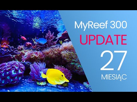 (169) MyReef 300 / Update / 27th month - Marine aquarium - Reef aquarium