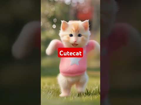 cute cat dance😌😌#funny #catvideos #cat #animaldance
