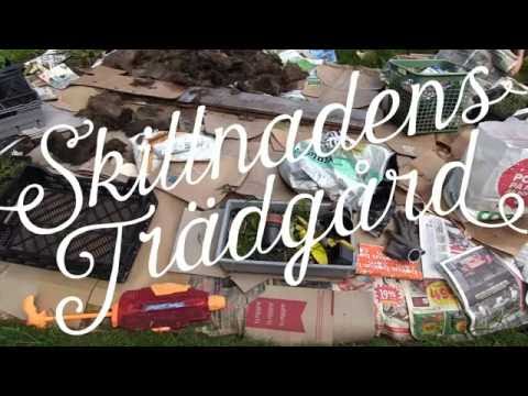 Ny täckodlad bädd del 2