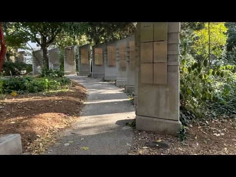 Altercation leads to dog being shot and killed in Toronto