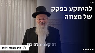להיתקע בפקק של מצווה | הרב שמואל אליהו | הלכה יומית | י״ט שבט תשפ״ה (הרב שמואל אליהו) - התמונה מוצגת ישירות מתוך אתר האינטרנט יוטיוב. זכויות היוצרים בתמונה שייכות ליוצרה. קישור קרדיט למקור התוכן נמצא בתוך דף הסרטון