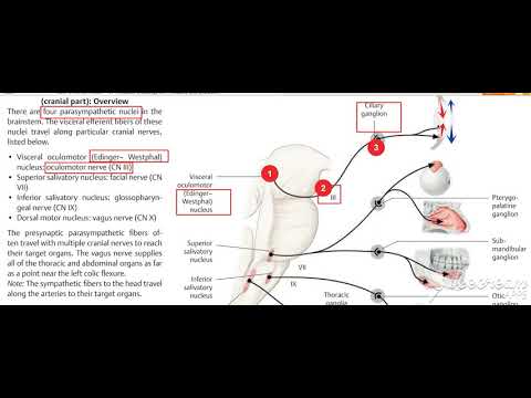 Glossopharyngeal intro 1