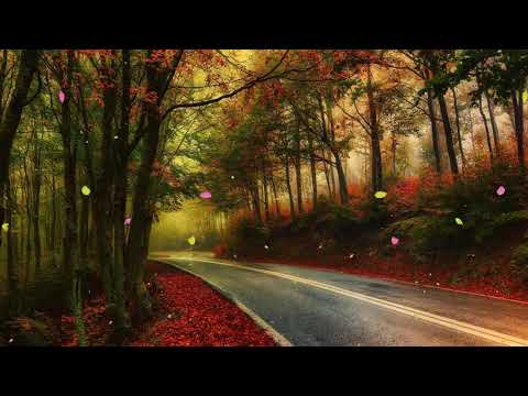 Musica para estudiar y concentrarse y memorizar, Trabajar, Relajarse, Leer, Trabajar, Relajarse,Leer