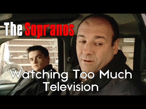 The Sopranos: "Watching Too Much Television"