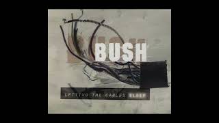Bush - Letting the cables sleep