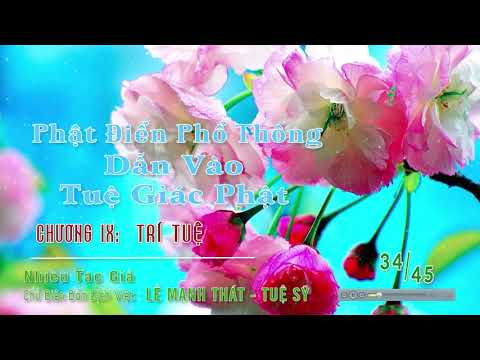 34. Chương 9: Trí Tuệ 1/5