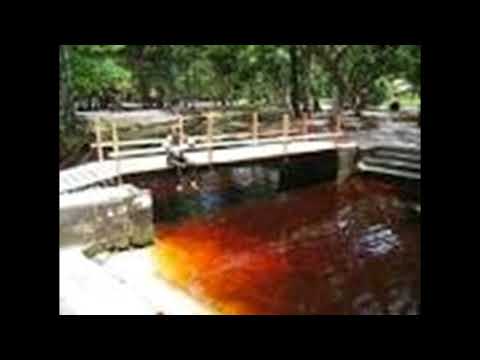 THE COSMO STARS   WANDAKA LOBIE