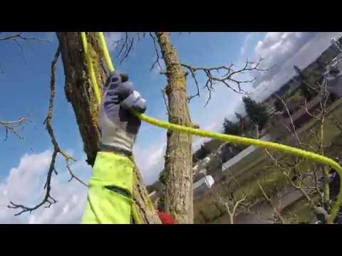 Sterling Rope Snakebite 11mm First Climb