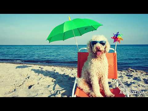 Marcos Rodriguez feat Estela Martin - La Playa - ReMiX -