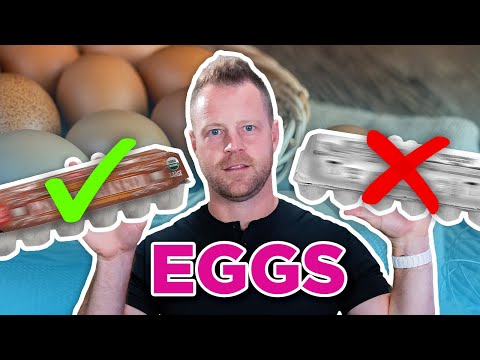 Stop Buying The Wrong Eggs – How To Buy Healthy Eggs