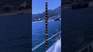 【悲しい鬱ロック作った】あなたは って曲作った。  #ボカロ #作詞作曲 #vocaloid #おすすめ #エモ動画 #オリジナル曲