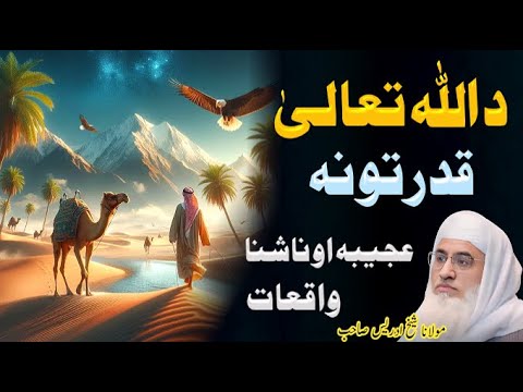 Da Allah Tala Qudratona||Molana Shaikh Idrees Sahib//Pashto Bayan (پشتو اصلاحی واقعات )