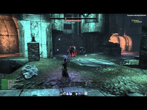 Elder Scrolls Online: Sorcerer Build (ESO) Test on Ultra Settings 1440p