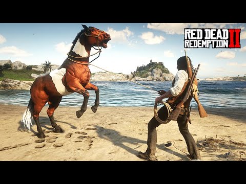 O Cavalo Nemo - Pegando o CAVALO NARARIS  -  O Colecionador de Cavalos - ep 22