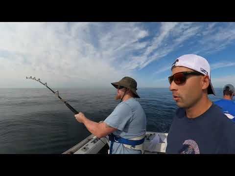 Labrador Fishing Charters 2020 (Scituate, MA)