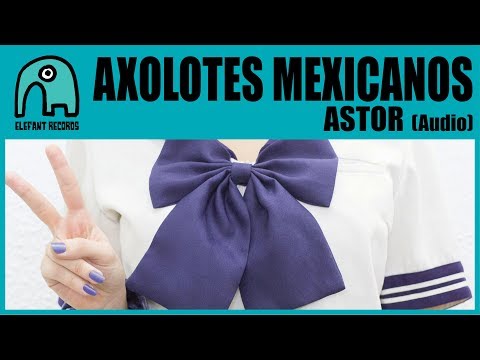 AXOLOTES MEXICANOS - Astor