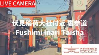 Kyoto Fushimi Inari Back Approach live stream