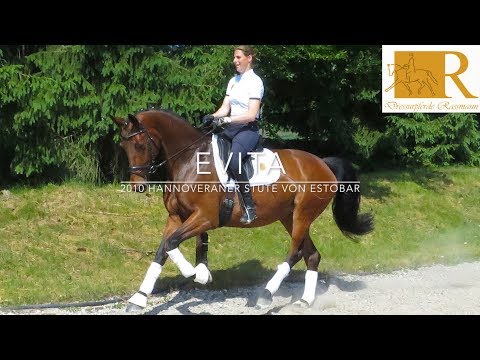 SOLD - Dressurpferd - 2010 Hannoveraner Stute von Estobar, Stm. ca. 1,70, L-Dressur - Evita