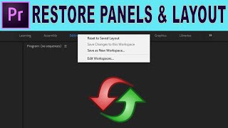 Restore Missing Panels and Adjust Layout |  Adobe Premiere Pro Tutorial