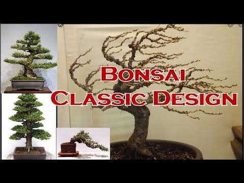 What are the Classic Bonsai Design and Styles