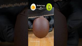 Download lagu What’s inside? Egg 🥚 or kiwi? 🥝 mp3 Download lagu What’s inside? Egg 🥚 or kiwi? 🥝 mp3