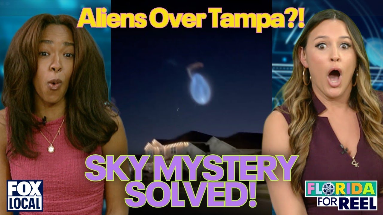 'Space Jellyfish' in Florida explained PLUS wild gator bellowing & TPA pajama ban | Florida For Reel