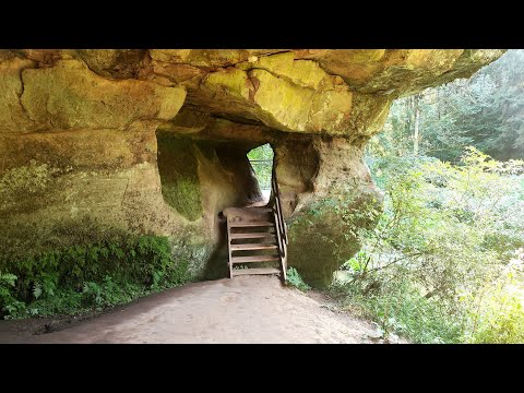 Wandern in Franken: Eine Runde durch die Schwarzachklamm und das Schwarzenbrucker Moor(4k, 2024)
