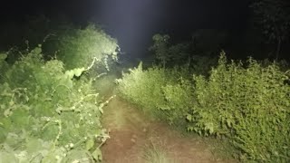 Download lagu Live Misteri‼️Lokasi Pemb4nTa1an Satu Keluarga mp3